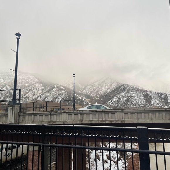 Meet your Posher, Ally - Picture 7 of 7